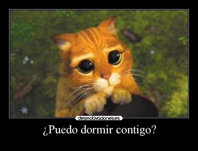 ¿Puedo dormir contigo? -