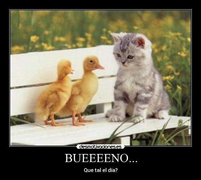 BUEEEENO... - Que tal el día?