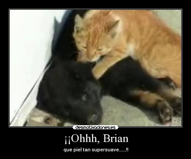 ¡¡Ohhh, Brian -
