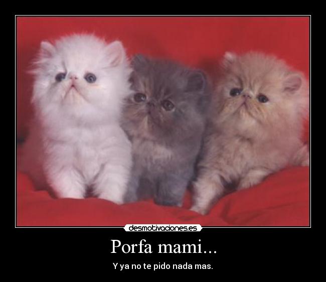 Porfa mami... -