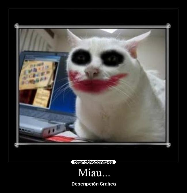 Miau... - Descripción Grafica