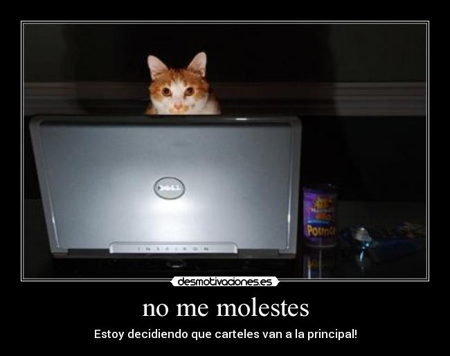 no me molestes - 