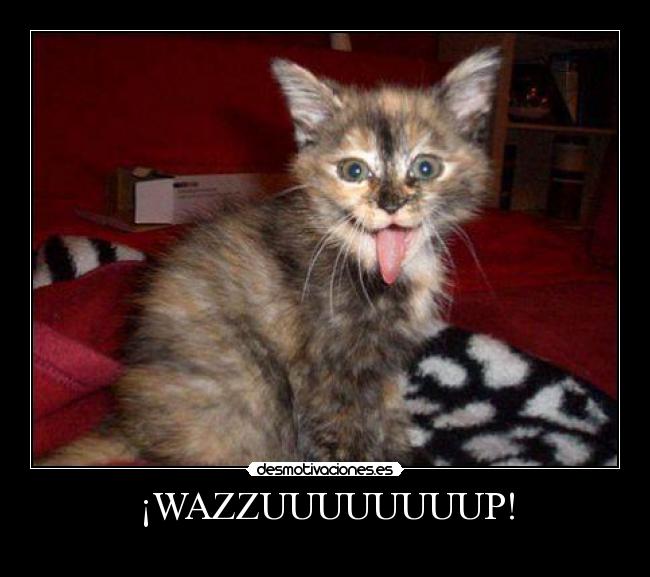 ¡WAZZUUUUUUUUP! -
