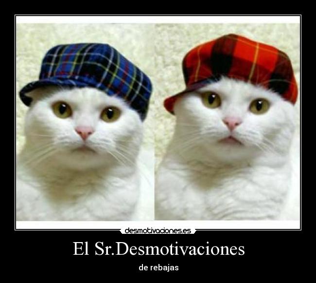 carteles sr desmotivaciones desmotivaciones