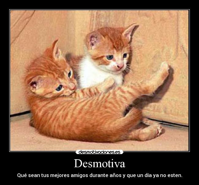Desmotiva - Qué sean tus mejores amigos durante años y que un día ya no esten.