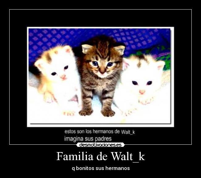 Familia de Walt_k - q bonitos sus hermanos