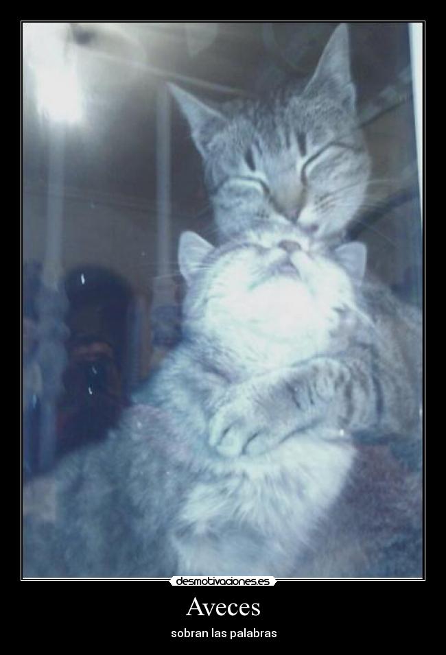 Aveces -