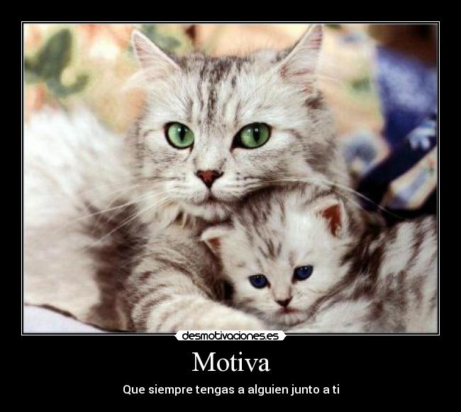 carteles motiva desmotivaciones