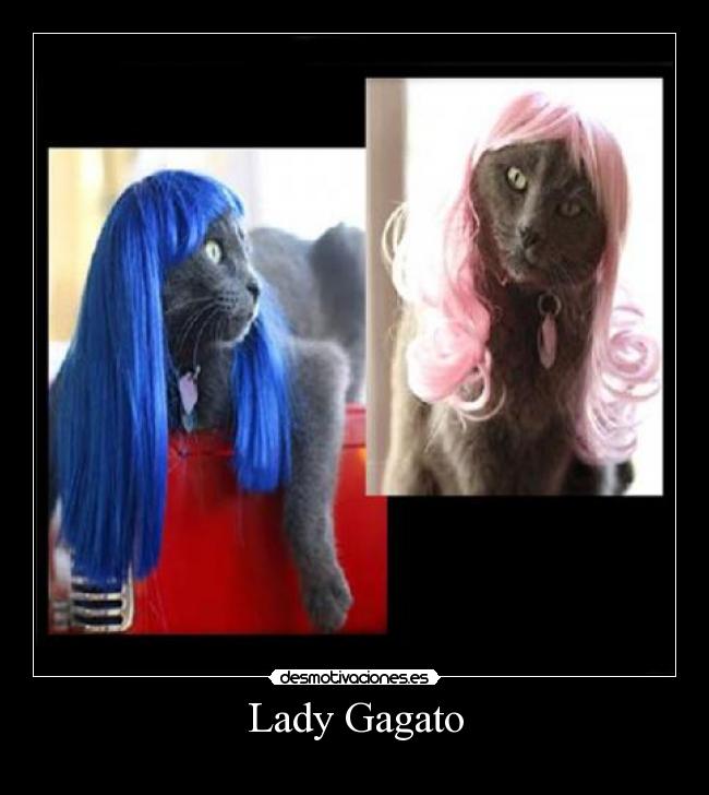 Lady Gagato - 