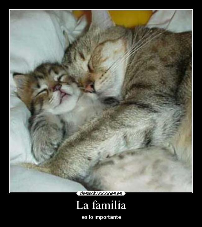 La familia - 