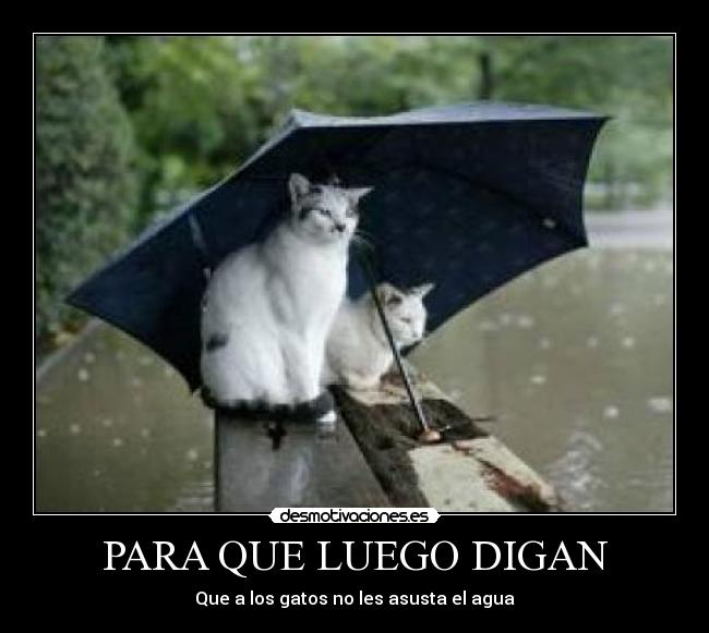 carteles para que luego digan desmotivaciones