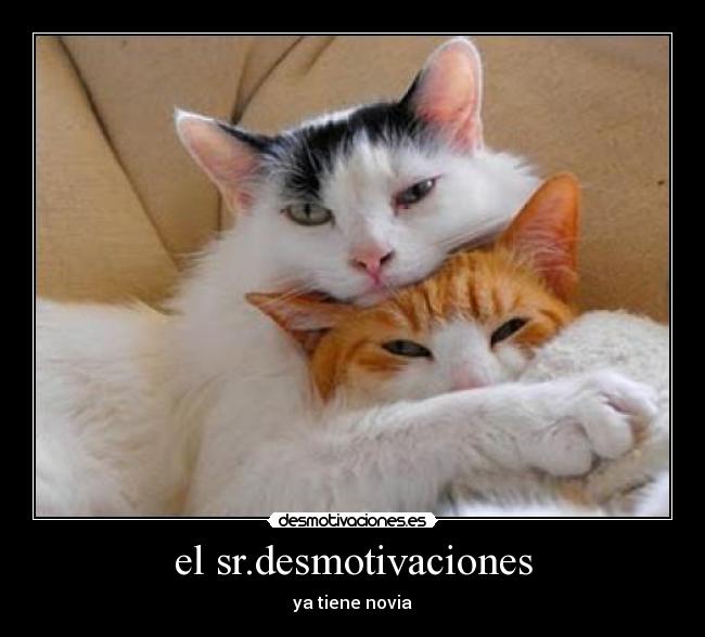 el sr.desmotivaciones - 