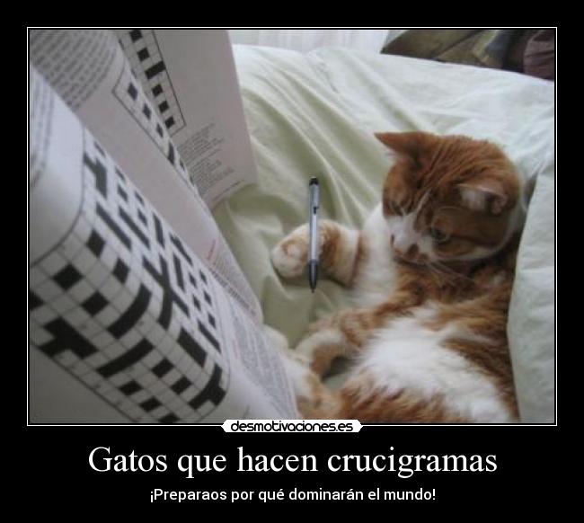 Gatos que hacen crucigramas - 