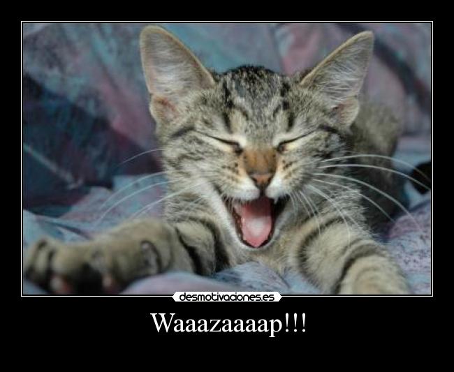 Waaazaaaap!!! -