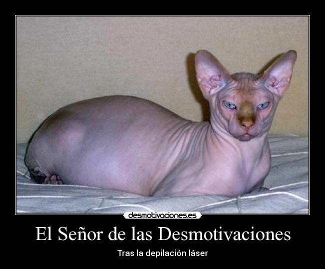 El Señor de las Desmotivaciones - 