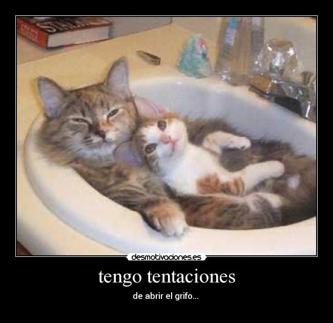 tengo tentaciones - 