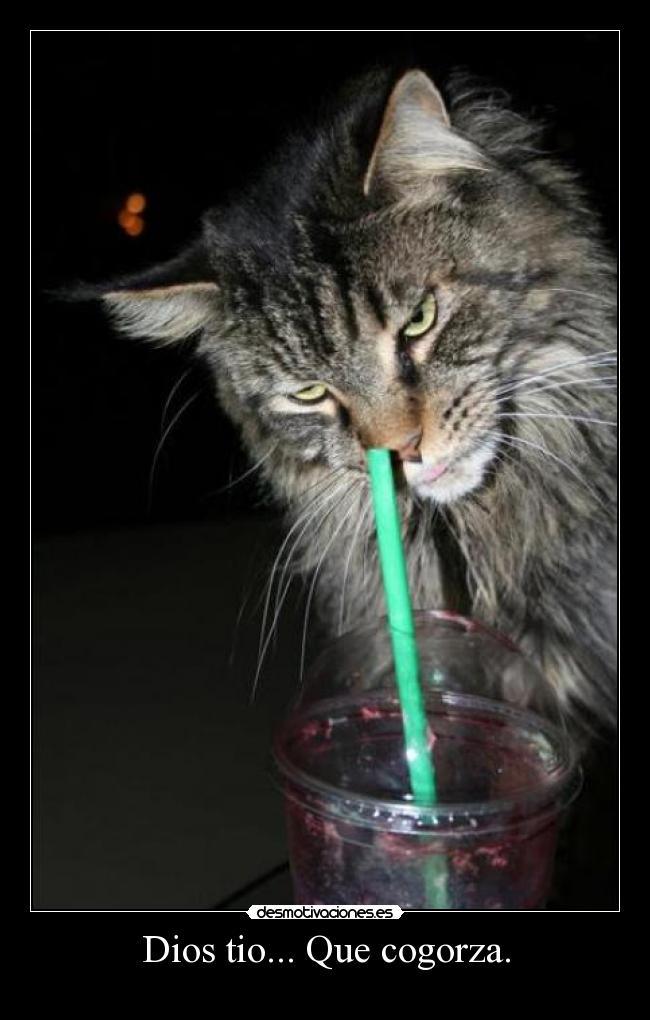 Dios tio... Que cogorza. -