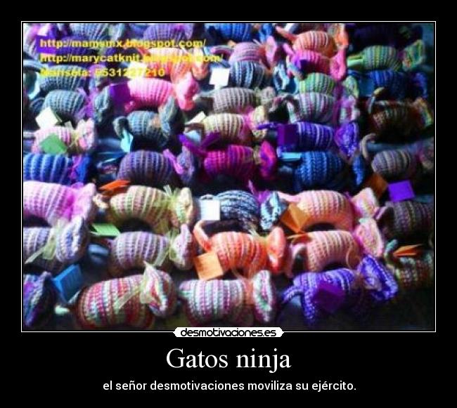 Gatos ninja -