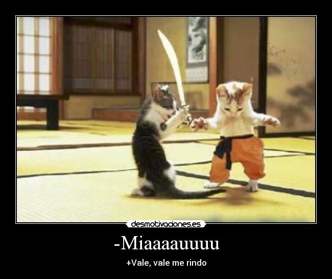 -Miaaaauuuu - +Vale, vale me rindo