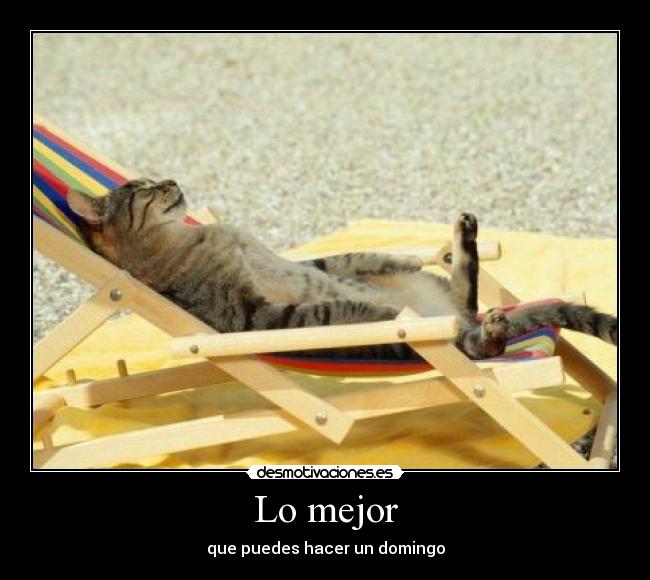 Lo mejor - que puedes hacer un domingo