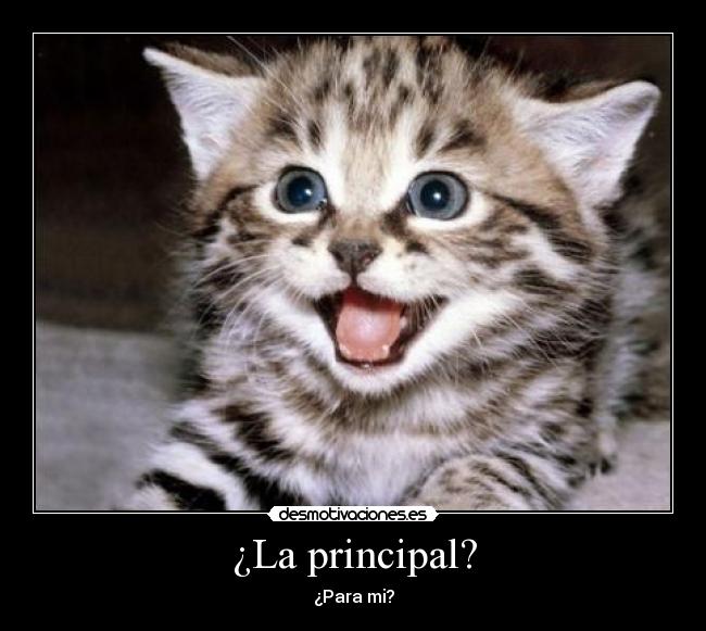 ¿La principal? - 