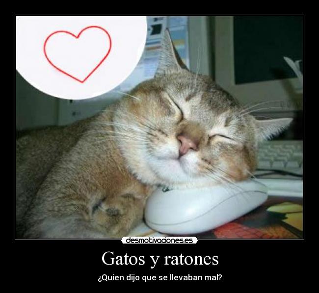 Gatos y ratones - 