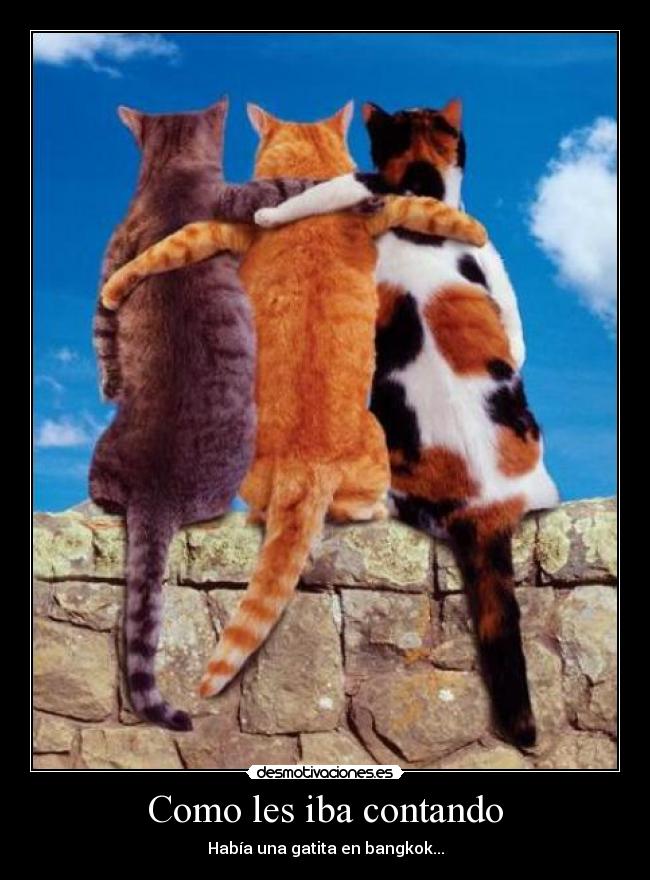 Como les iba contando - Había una gatita en bangkok...