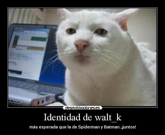 Identidad de walt_k - más esperada que la de Spiderman y Batman..¡juntos!