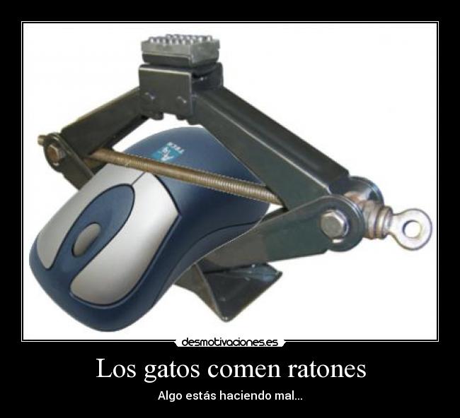 Los gatos comen ratones - 