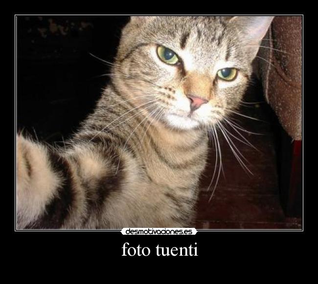foto tuenti -