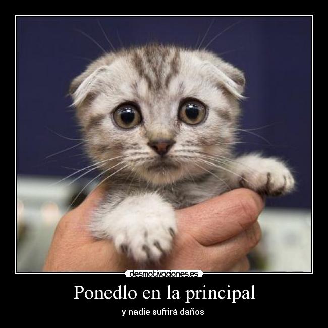 Ponedlo en la principal - y nadie sufrirá daños