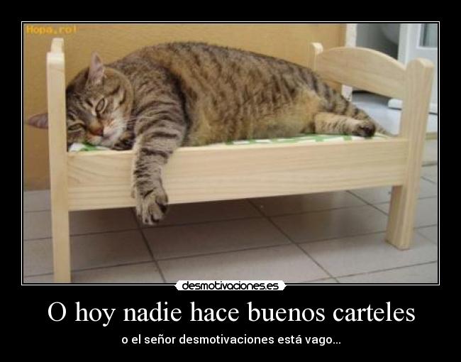 O hoy nadie hace buenos carteles - 
