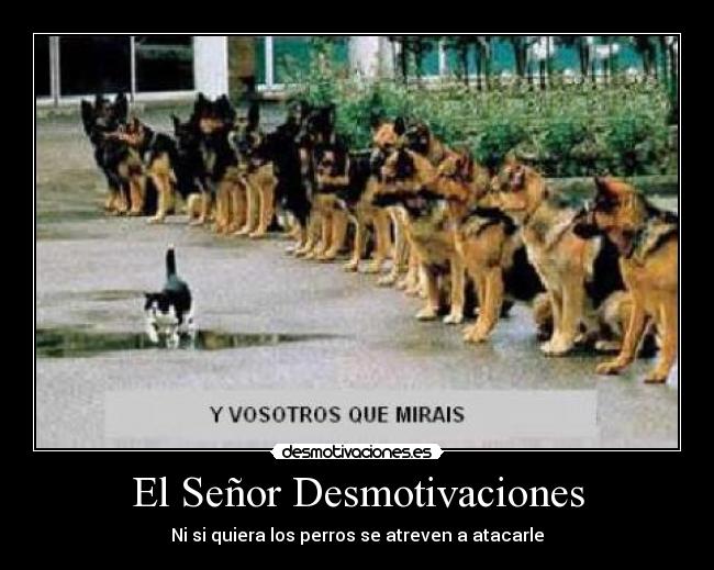 El Señor Desmotivaciones - 