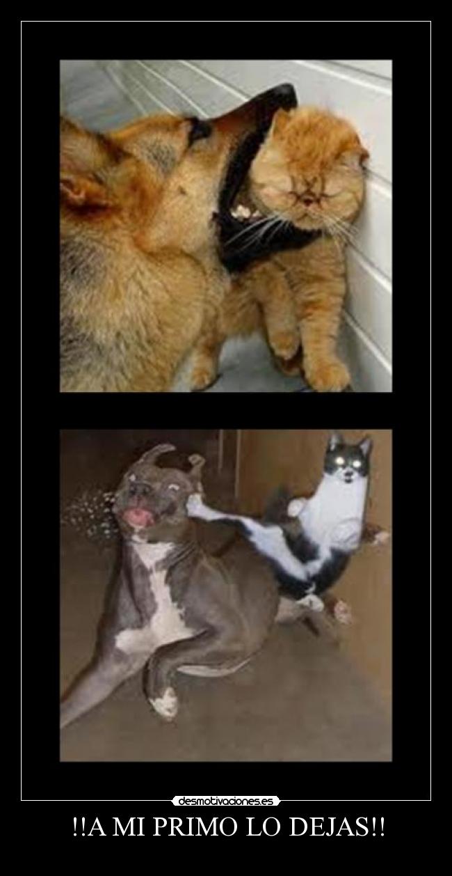 !!A MI PRIMO LO DEJAS!! - 