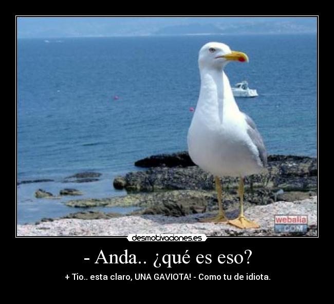 - Anda.. ¿qué es eso? - + Tio.. esta claro, UNA GAVIOTA! - Como tu de idiota.
