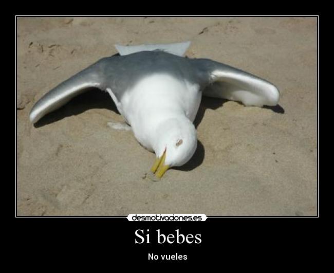 Si bebes -
