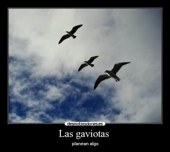 Las gaviotas  - 