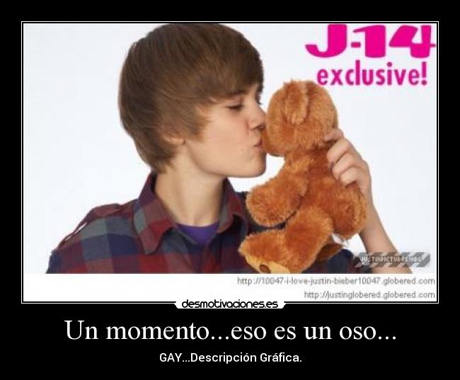 Un momento...eso es un oso... - 