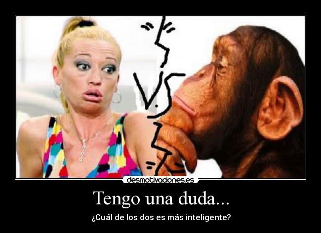 Tengo una duda... - ¿Cuál de los dos es más inteligente?