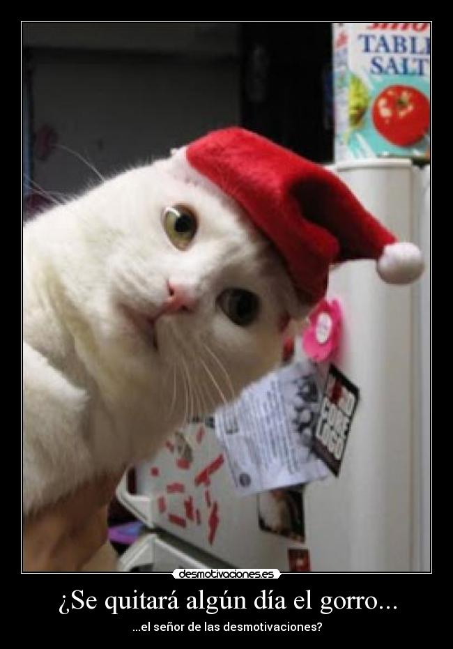 ¿Se quitará algún día el gorro... - 