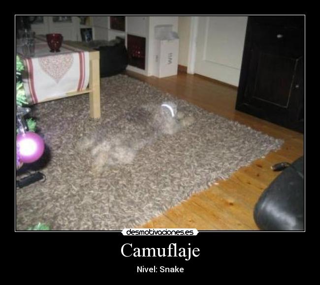 Camuflaje -