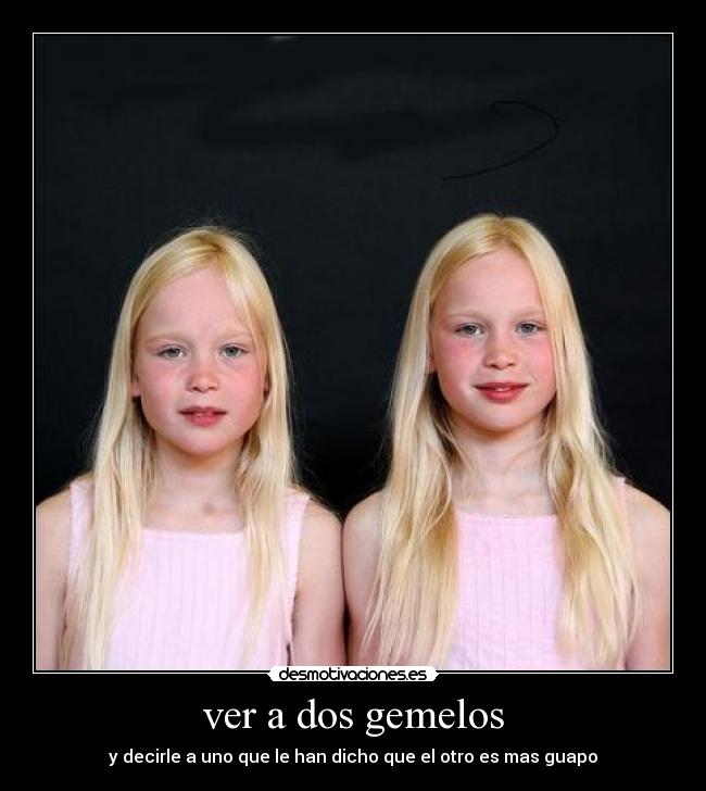 carteles gemelos desmotivaciones