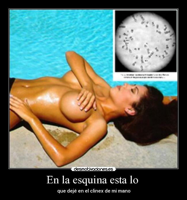 En la esquina esta lo  - 