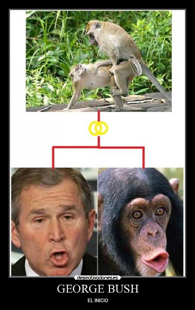 GEORGE BUSH - EL INICIO