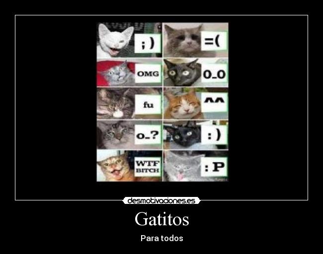 Gatitos -
