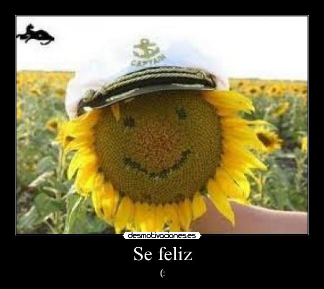 Se feliz -