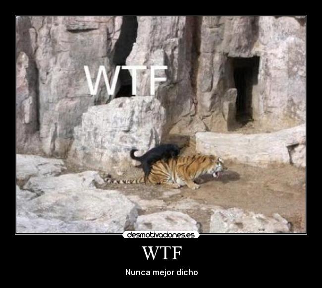 WTF - 