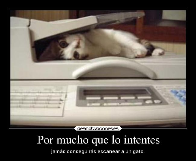 Por mucho que lo intentes - 