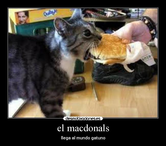 el macdonals -