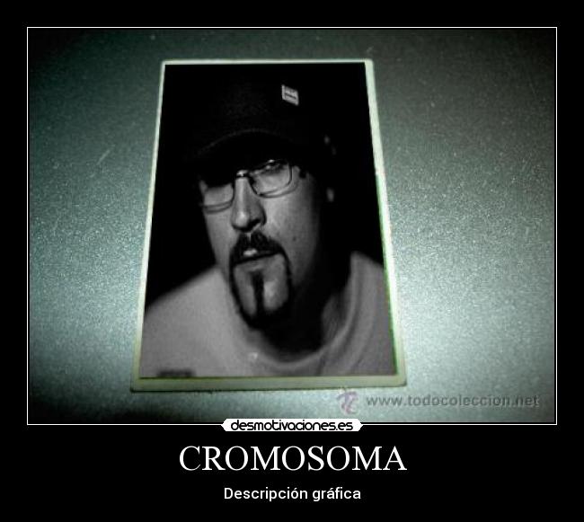 CROMOSOMA -